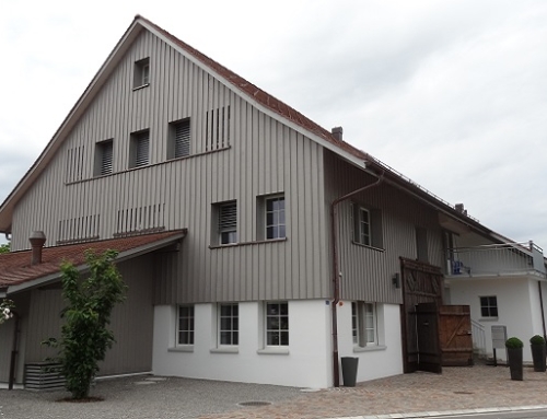 Umbau «Bauernhaus» Bisikon